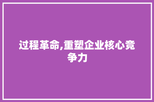 过程革命,重塑企业核心竞争力