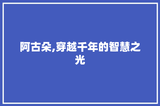 阿古朵,穿越千年的智慧之光