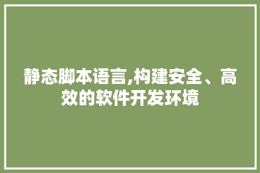 静态脚本语言,构建安全、高效的软件开发环境