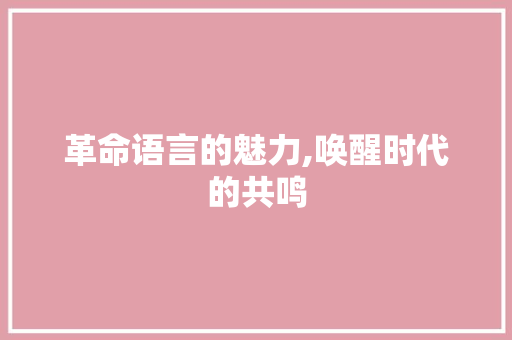 革命语言的魅力,唤醒时代的共鸣