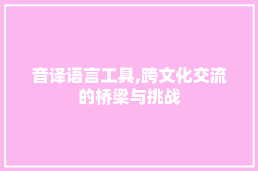 音译语言工具,跨文化交流的桥梁与挑战