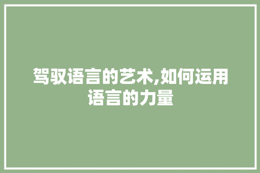 驾驭语言的艺术,如何运用语言的力量
