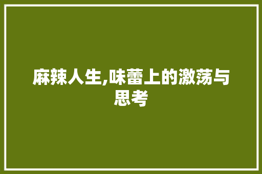 麻辣人生,味蕾上的激荡与思考