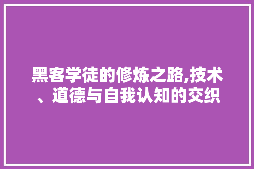 黑客学徒的修炼之路,技术、道德与自我认知的交织