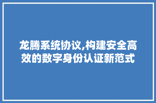 龙腾系统协议,构建安全高效的数字身份认证新范式