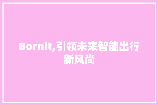 Bornit,引领未来智能出行新风尚