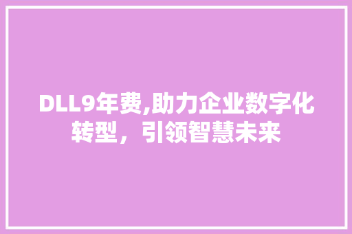 DLL9年费,助力企业数字化转型，引领智慧未来