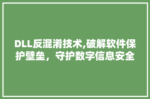 DLL反混淆技术,破解软件保护壁垒，守护数字信息安全