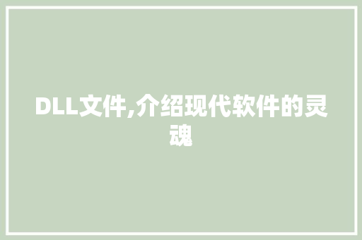 DLL文件,介绍现代软件的灵魂