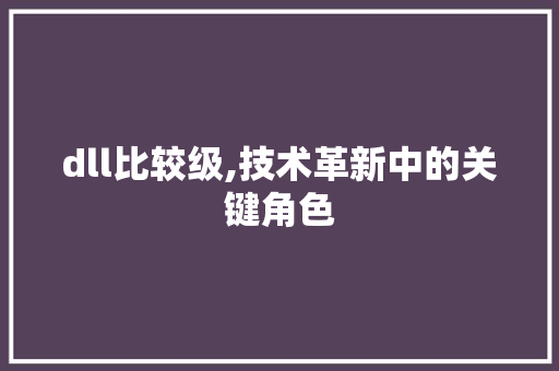 dll比较级,技术革新中的关键角色