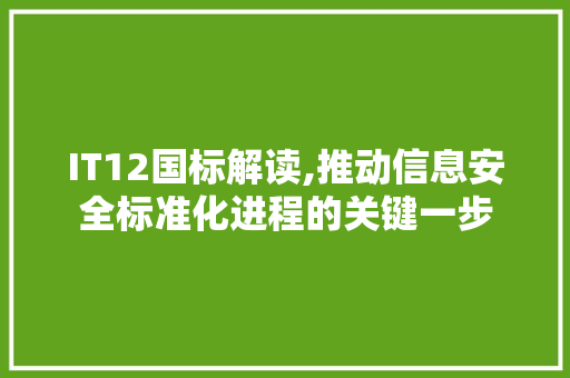IT12国标解读,推动信息安全标准化进程的关键一步