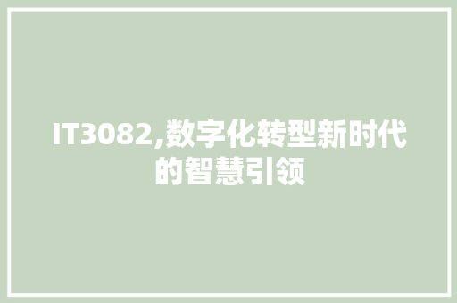 IT3082,数字化转型新时代的智慧引领