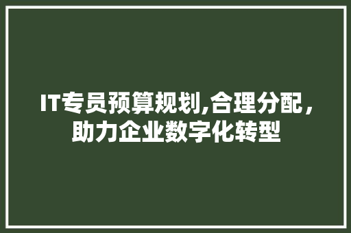 IT专员预算规划,合理分配，助力企业数字化转型