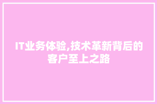 IT业务体验,技术革新背后的客户至上之路