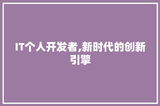 IT个人开发者,新时代的创新引擎