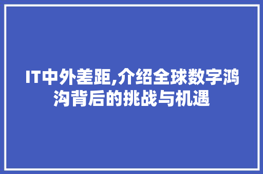 IT中外差距,介绍全球数字鸿沟背后的挑战与机遇