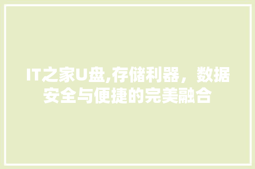 IT之家U盘,存储利器，数据安全与便捷的完美融合