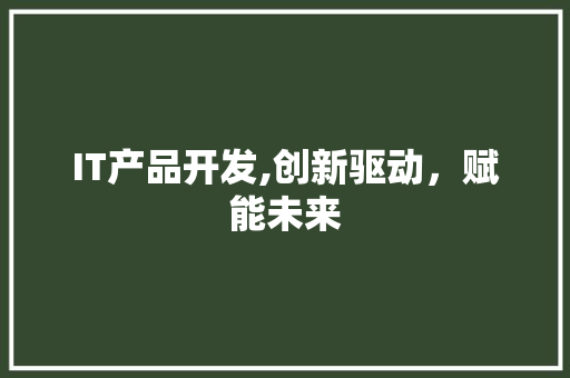 IT产品开发,创新驱动，赋能未来