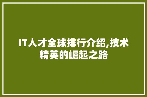 IT人才全球排行介绍,技术精英的崛起之路