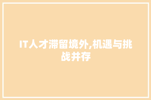 IT人才滞留境外,机遇与挑战并存