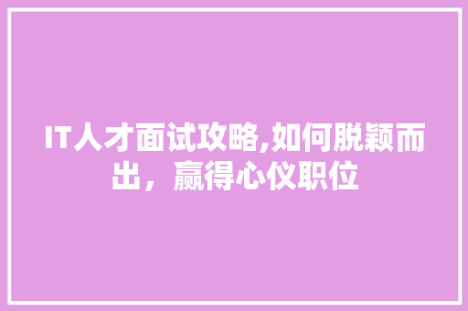 IT人才面试攻略,如何脱颖而出，赢得心仪职位