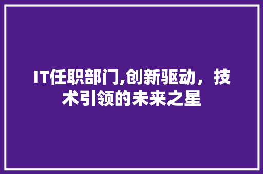 IT任职部门,创新驱动，技术引领的未来之星