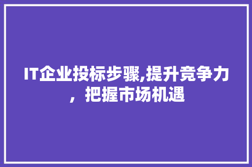 IT企业投标步骤,提升竞争力，把握市场机遇