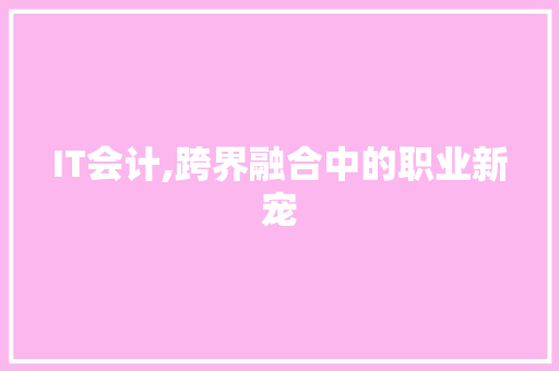IT会计,跨界融合中的职业新宠