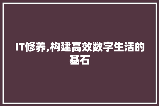IT修养,构建高效数字生活的基石