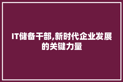 IT储备干部,新时代企业发展的关键力量