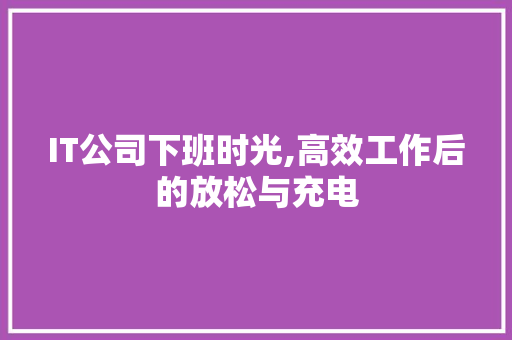 IT公司下班时光,高效工作后的放松与充电