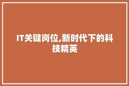 IT关键岗位,新时代下的科技精英