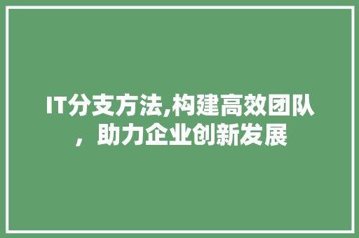 IT分支方法,构建高效团队，助力企业创新发展