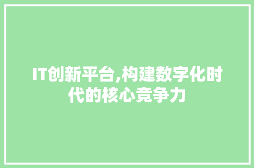 IT创新平台,构建数字化时代的核心竞争力