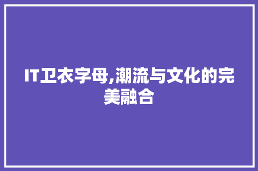IT卫衣字母,潮流与文化的完美融合