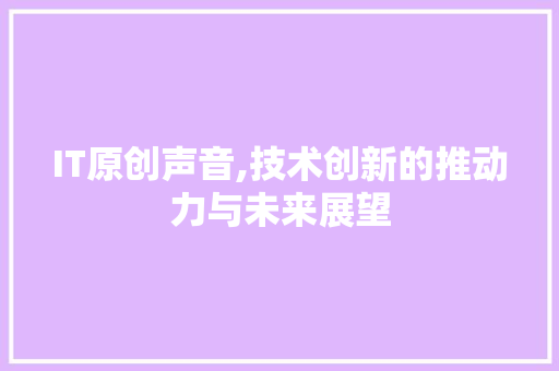 IT原创声音,技术创新的推动力与未来展望