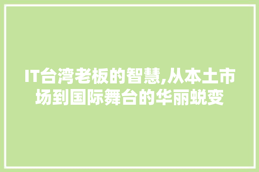 IT台湾老板的智慧,从本土市场到国际舞台的华丽蜕变