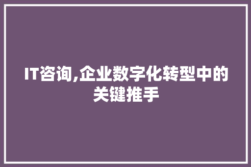 IT咨询,企业数字化转型中的关键推手