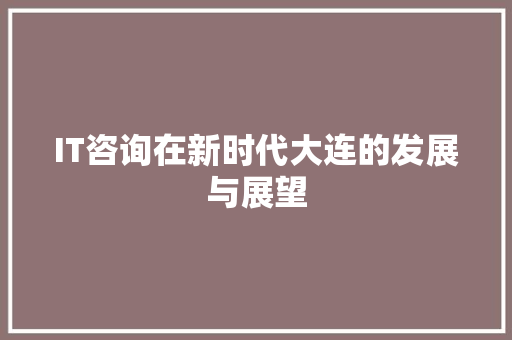 IT咨询在新时代大连的发展与展望