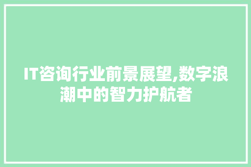 IT咨询行业前景展望,数字浪潮中的智力护航者