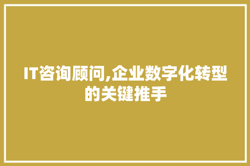 IT咨询顾问,企业数字化转型的关键推手