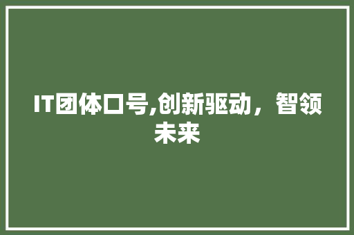 IT团体口号,创新驱动，智领未来