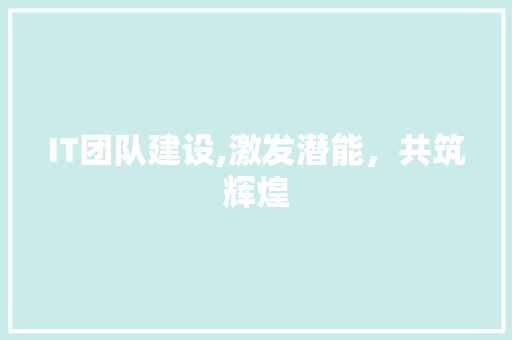 IT团队建设,激发潜能，共筑辉煌