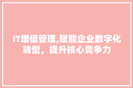 IT增值管理,赋能企业数字化转型，提升核心竞争力