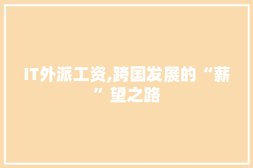 IT外派工资,跨国发展的“薪”望之路