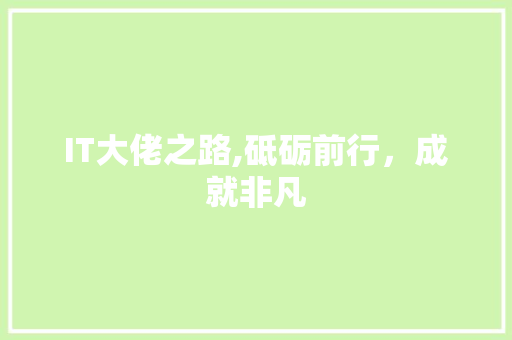 IT大佬之路,砥砺前行，成就非凡