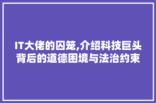 IT大佬的囚笼,介绍科技巨头背后的道德困境与法治约束
