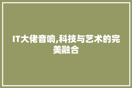 IT大佬音响,科技与艺术的完美融合