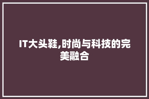 IT大头鞋,时尚与科技的完美融合