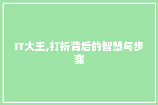 IT大王,打折背后的智慧与步骤